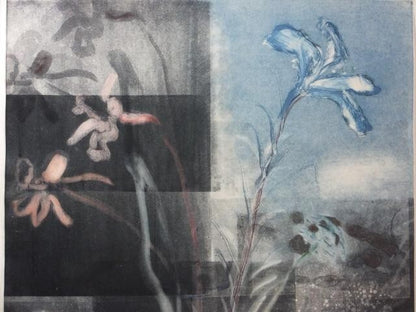 Mary Frank (Uk) Original Monoprint On Wove Signed In Pencil "Flowers Ii" 1984