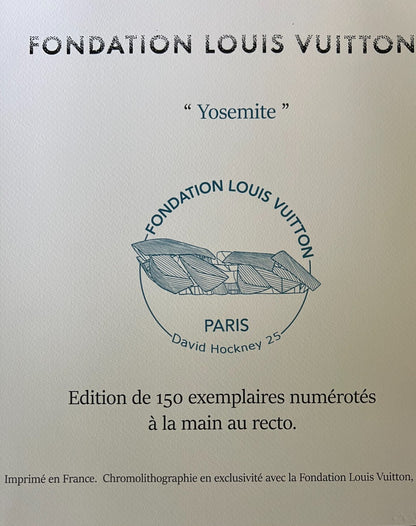 David Hockney Lithograph Coa Signed Op Hand Numbered Limited