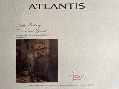 David Hockney Lithograph Handmade Coa Signed Op Numbered In Pencil