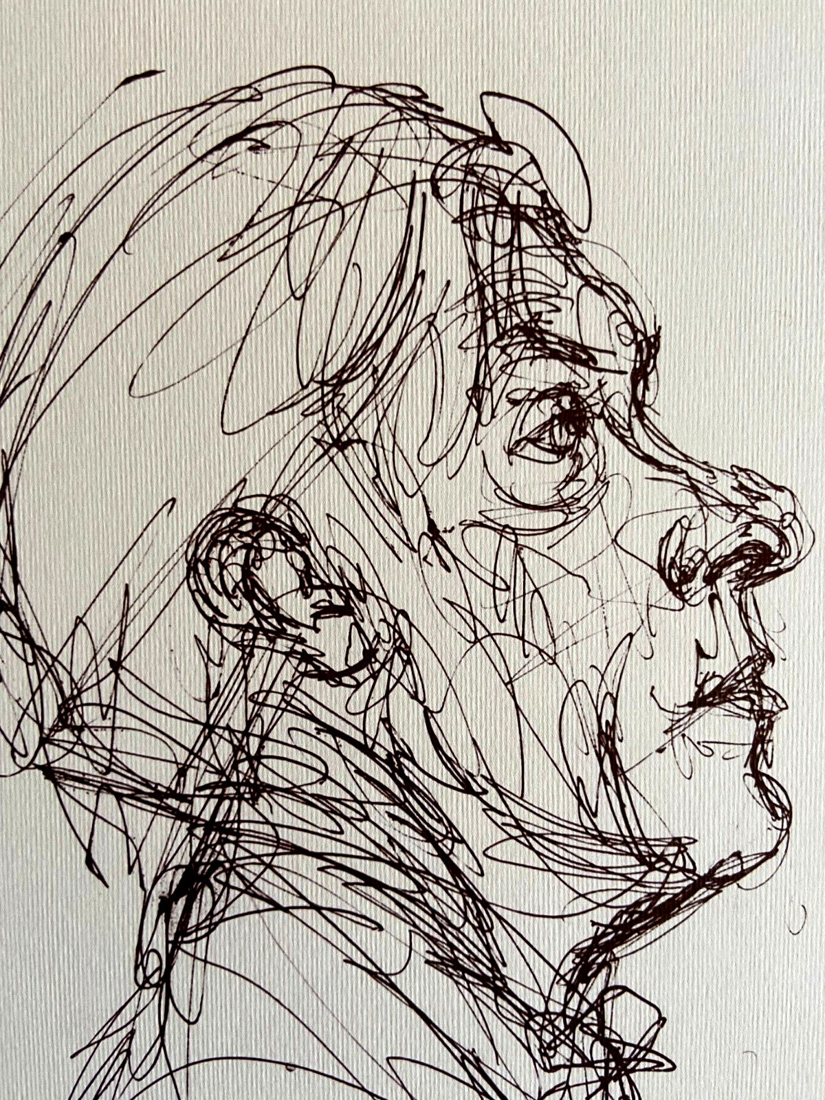Alberto Giacometti Lithograph Coa Signed Stamped Numbered 180 Ex