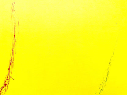 Dan Flavin Lithograph Coa Signed Op Numbered Pencil Stamp