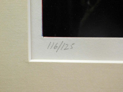 Walter Bachinski Still Life "Cuernavaca Lillies" Etching With Aquatint Signed