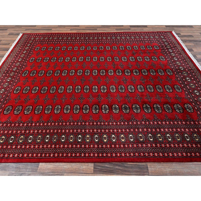 8'2"X10'1" Red Princess Bokara Tribal Medallions Rug Pure Wool Hand Knotted