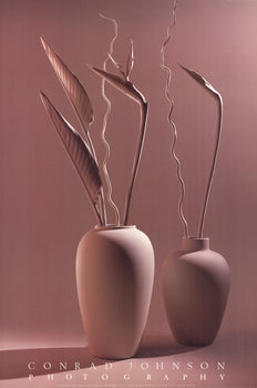 Conrad Johnson Sculpture Ii 