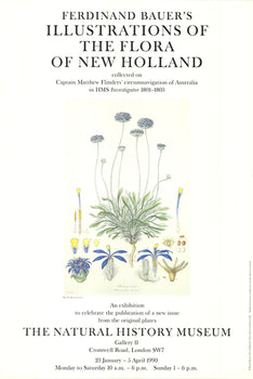 Ferdinand Bauer Illustrations Of The Flora Of New Holland 