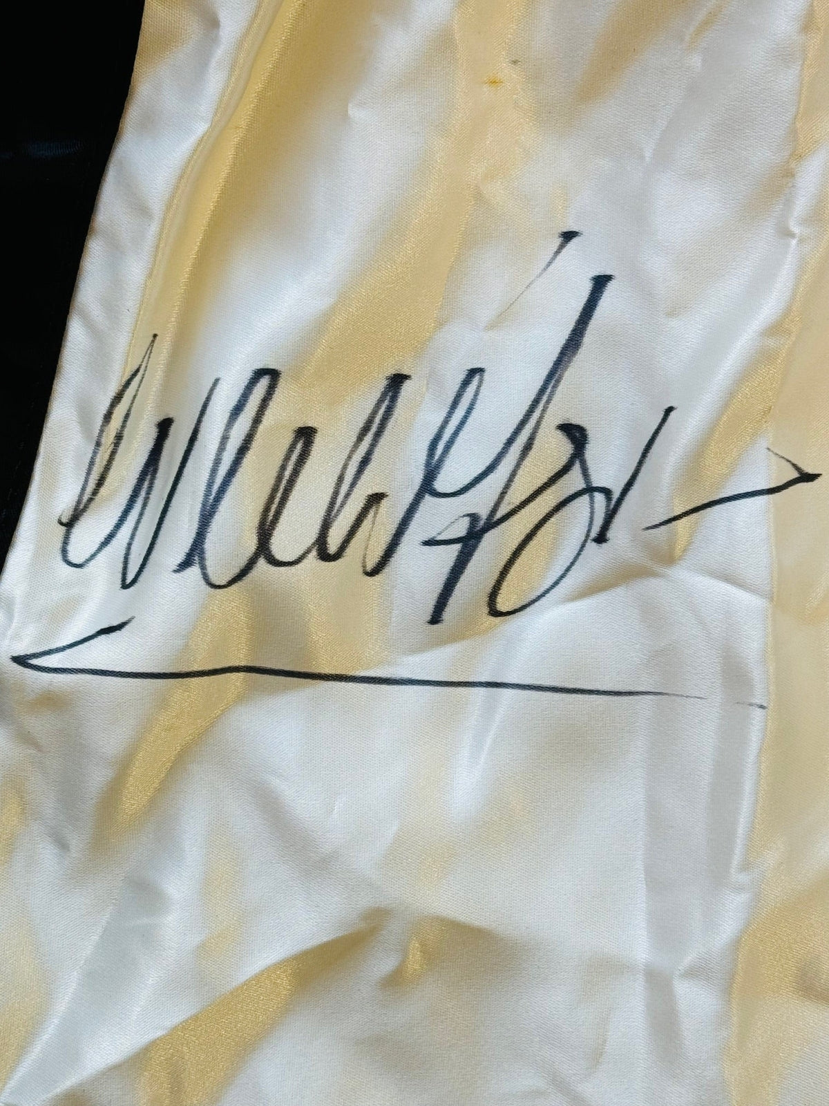 Wladimir Klitschko Autographed Everlast Boxing Trunks (Jsa)