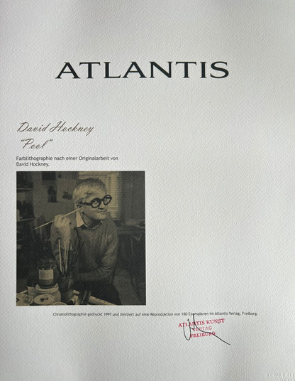 David Hockney - Lithograph Coa Signed Numbered Limited 180