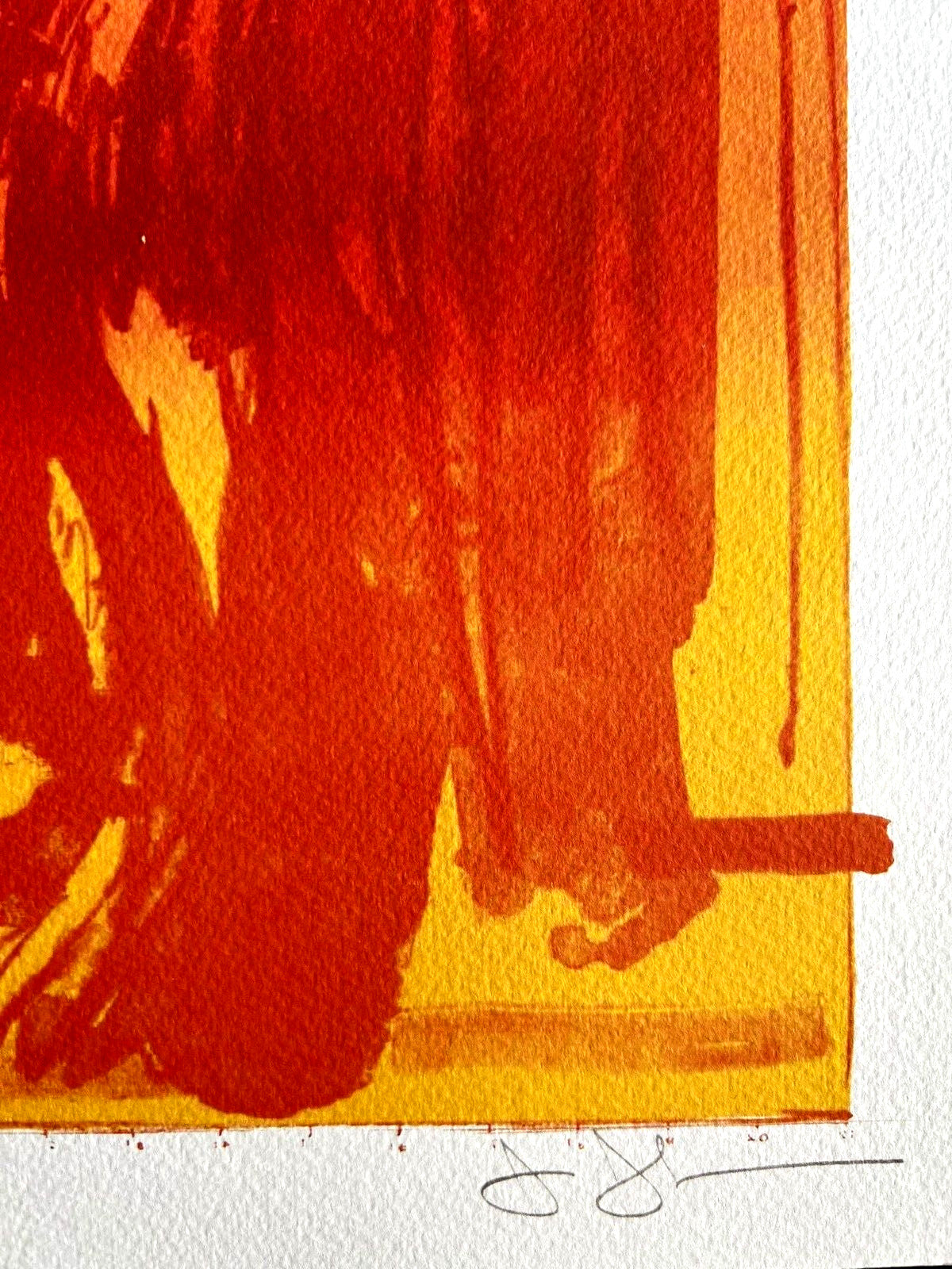 Jasper Johns Lithograph Coa Signed In Pen Numbered In Pencil Limited