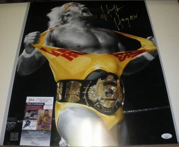 Hulk Hogan Hulkamania,The Hulkster Last One,Hof