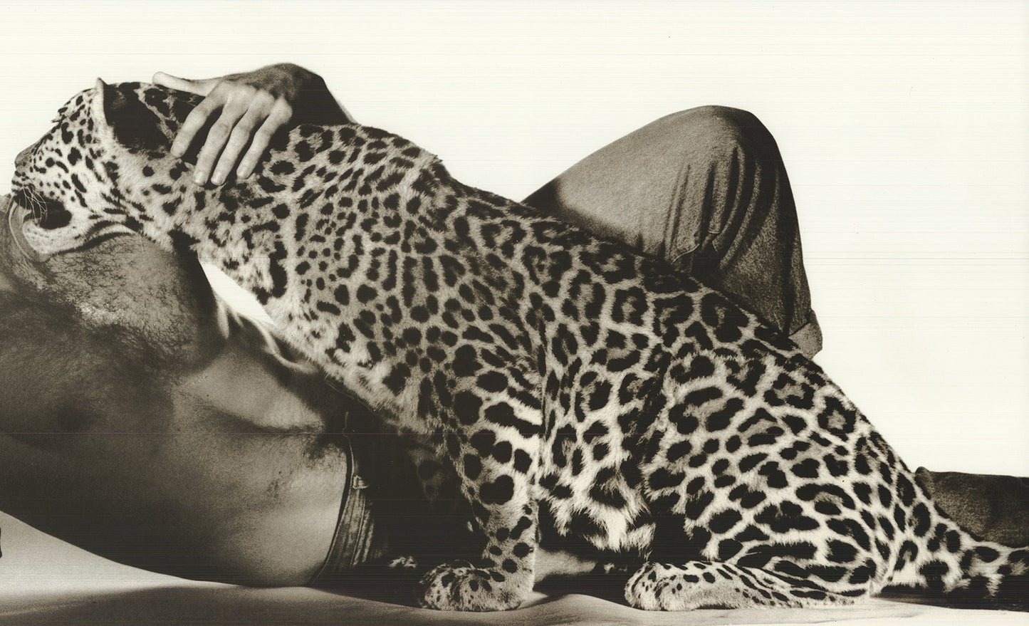 Spencer Rowell Animal Magnetism " Offset Lithograph Photograph