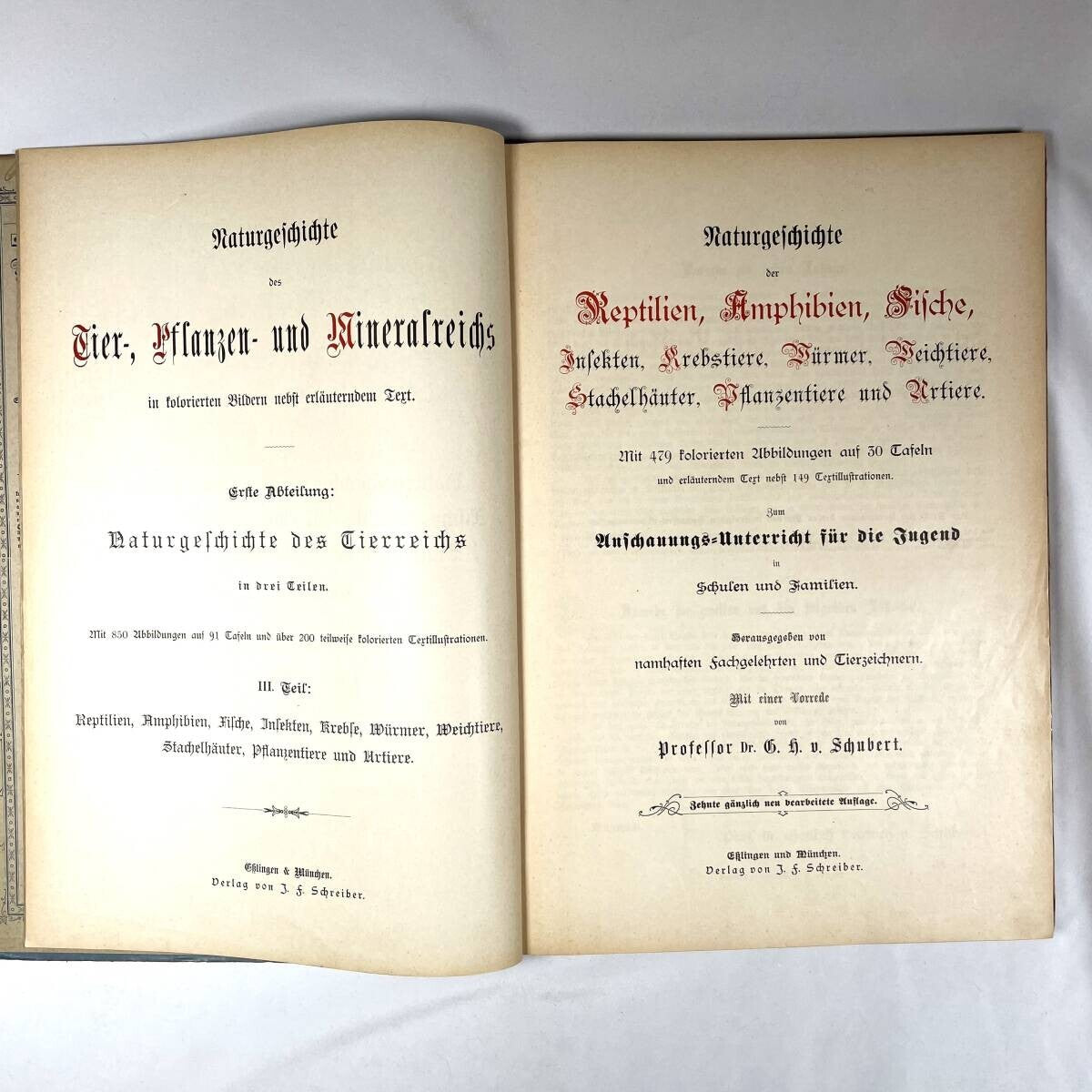 1886 Natural History By Dr. G.H. V. Schubert, 1St Amphibians, Fish, Insects