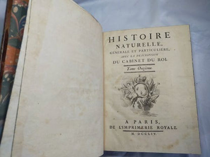1754 Buffon Histoire Naturelle Vol 11 First Ed Elephant Rhino Camel 42 Plates