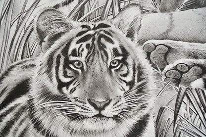Beppe Spadacini (Italy) Original Silkscreen Print Save The Tigers Signed Framed