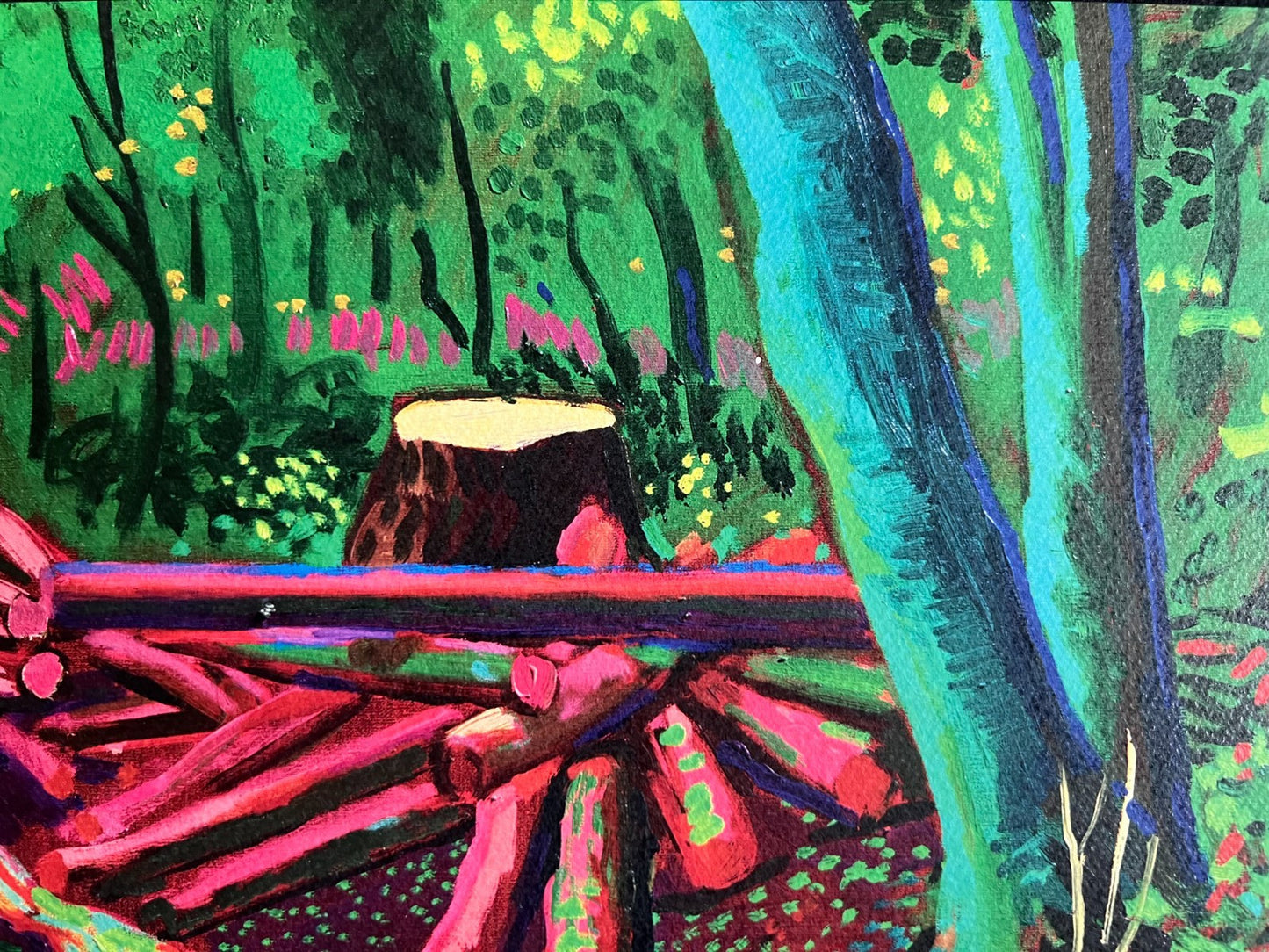 David Hockney Lithograph Coa Signed Op Numbered A Hand Limited &