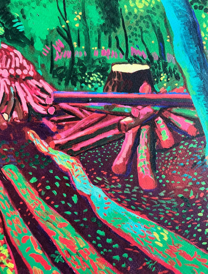 David Hockney Lithograph Coa Signed Op Numbered A Hand Limited &