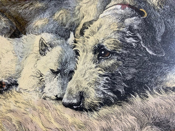 Herbert Dicksee Comrades 1928 Original Etching Frost & Reed Dogs Terrier Hound