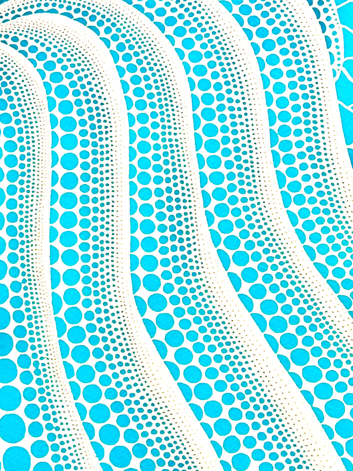 Yayoi Kusama Lithograph Mori Museum Coa Numbered Limited Fit