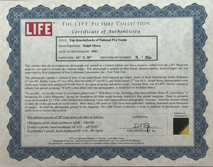 1961 Top Quarterbacks Of National Pro Teams 16X20 Photo