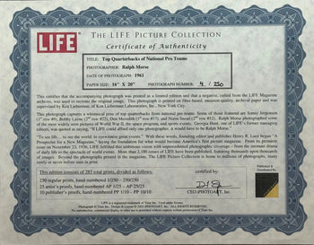 1961 Top Quarterbacks Of National Pro Teams 16X20 Photo