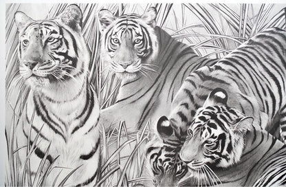 Beppe Spadacini (Italy) Original Silkscreen Print Save The Tigers Signed Framed