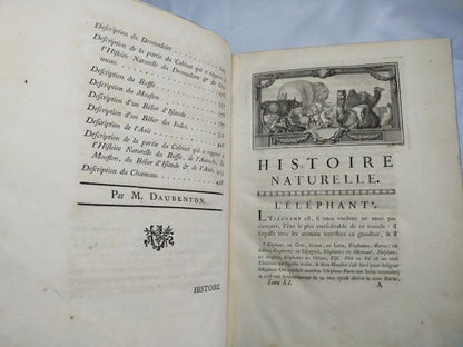 1754 Buffon Histoire Naturelle Vol 11 First Ed Elephant Rhino Camel 42 Plates