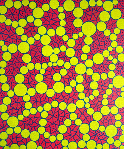 Yayoi Kusama Lithograph Mori Museum Coa Hand Numbered Crayon