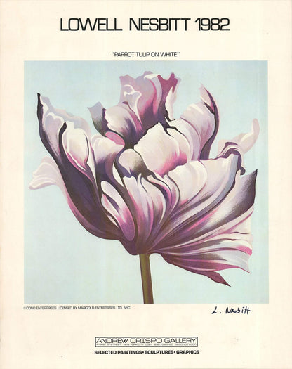 Lowell Nesbitt Parrot Tulip On White Signed " Offset Lithograph 198