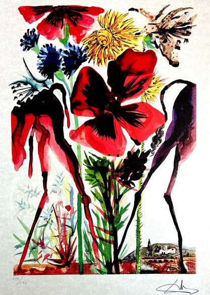 Salvador Dal Lithograph From An Drawing Coa Signed Op Rare