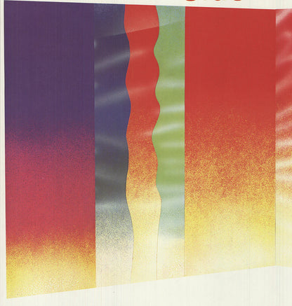 James Rosenquist Slush Thrust Signed " Offset Lithograph Pop Ar