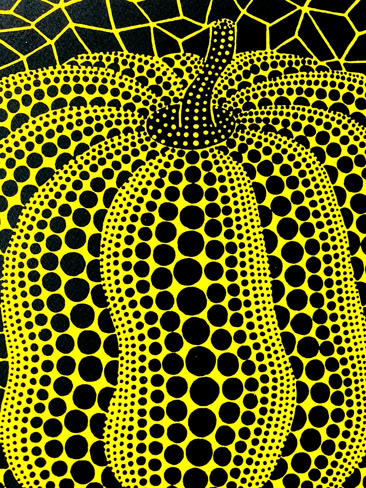 Yayoi Kusama Lithograph Mori Museum Coa Numbered Limited To 200