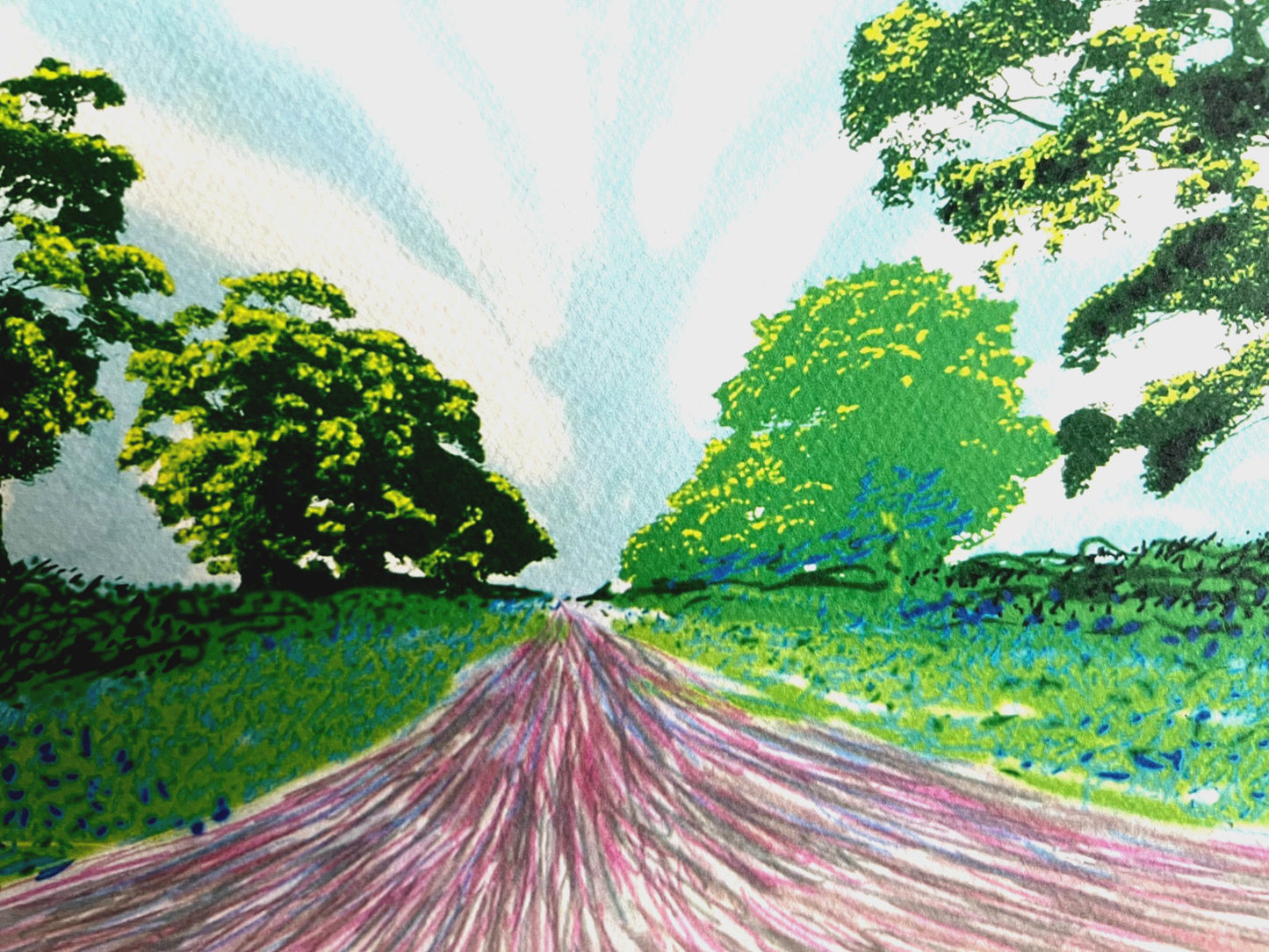 David Hockney Lithograph Coa Signed Op Numbered A Hand Limited