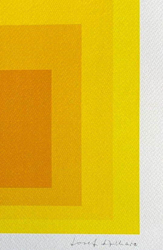 Josef Albers Lithograph Coa Signed Op Numbered