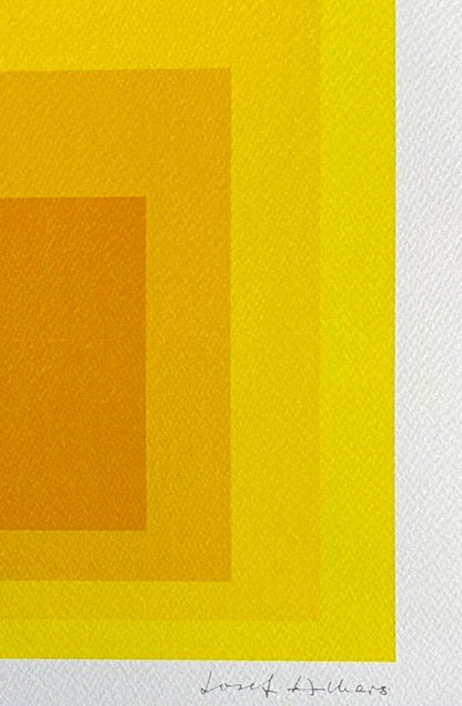 Josef Albers Lithograph Coa Signed Op Numbered