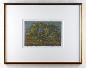 Hoshi Joichi - Big Tree Signed Framed Original Woodblock Print Art 1975
