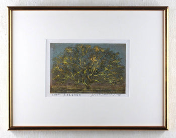 Hoshi Joichi - Big Tree Signed Framed Original Woodblock Print Art 1975