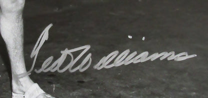 Ted Williams Hof Signed/Autographed 16X20 B/W