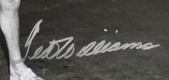 Ted Williams Hof Signed/Autographed 16X20 B/W