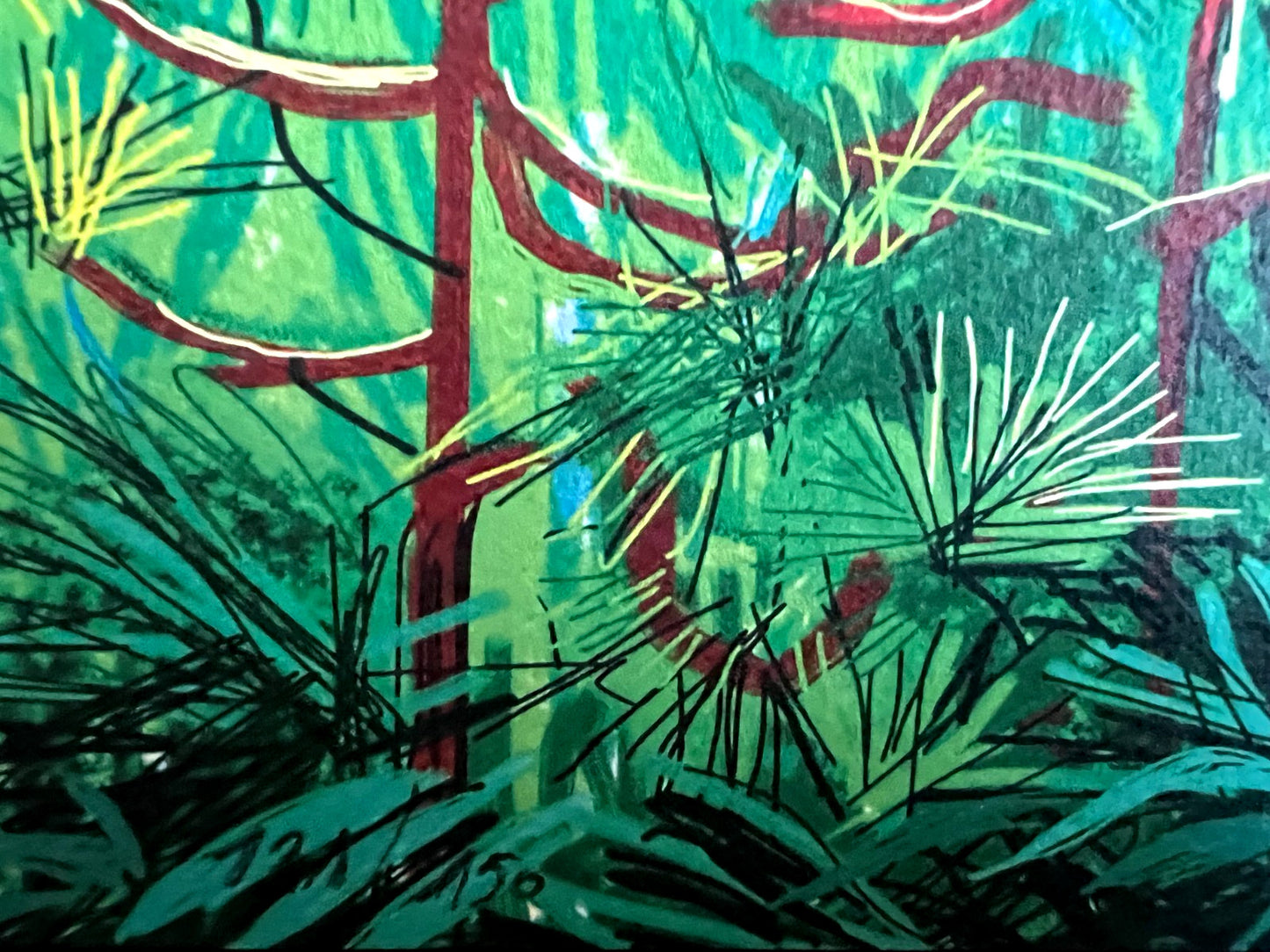 David Hockney Lithograph Coa Signed Op Hand Numbered Limited