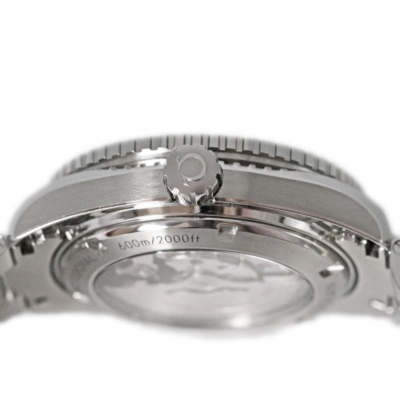 Omega Seamaster Planet Ocean 600 232.30.46.21.01.001 Men'S Used Watch #71221