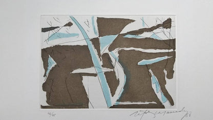 Albert Rafols Casamada Original Etching Estiu-4 Summer-4 Spain 1988 Signed Frame