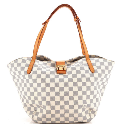 Louis Vuitton Salina Handbag Damier Gm