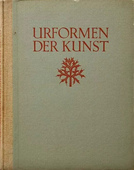 1941 Vintage Verlag Ernst Wasmuth - Karl Blossfeldt Urformen der Kunst