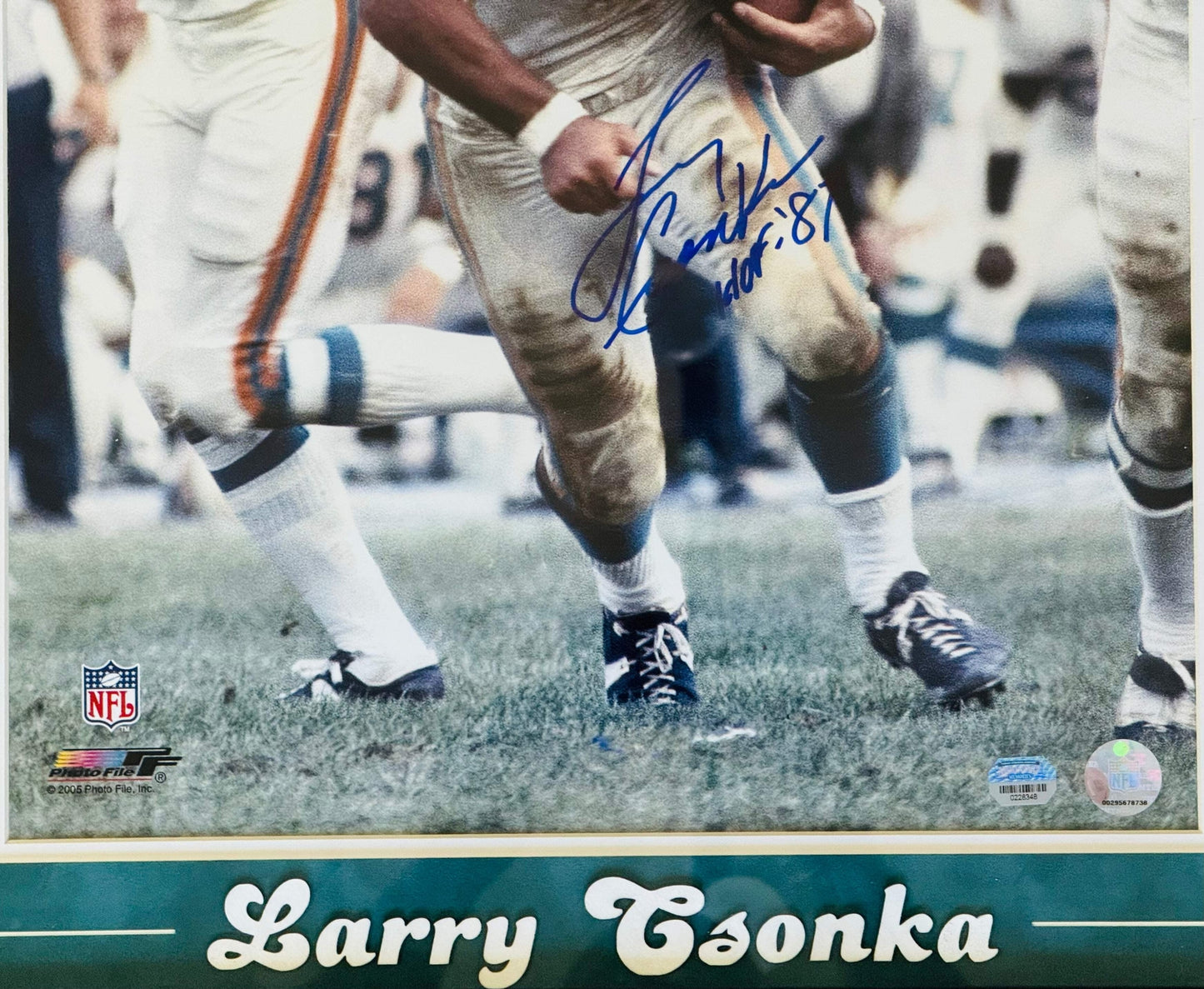 Larry Csonka Autographed Framed 16X20 Photo (Mounted Memories)
