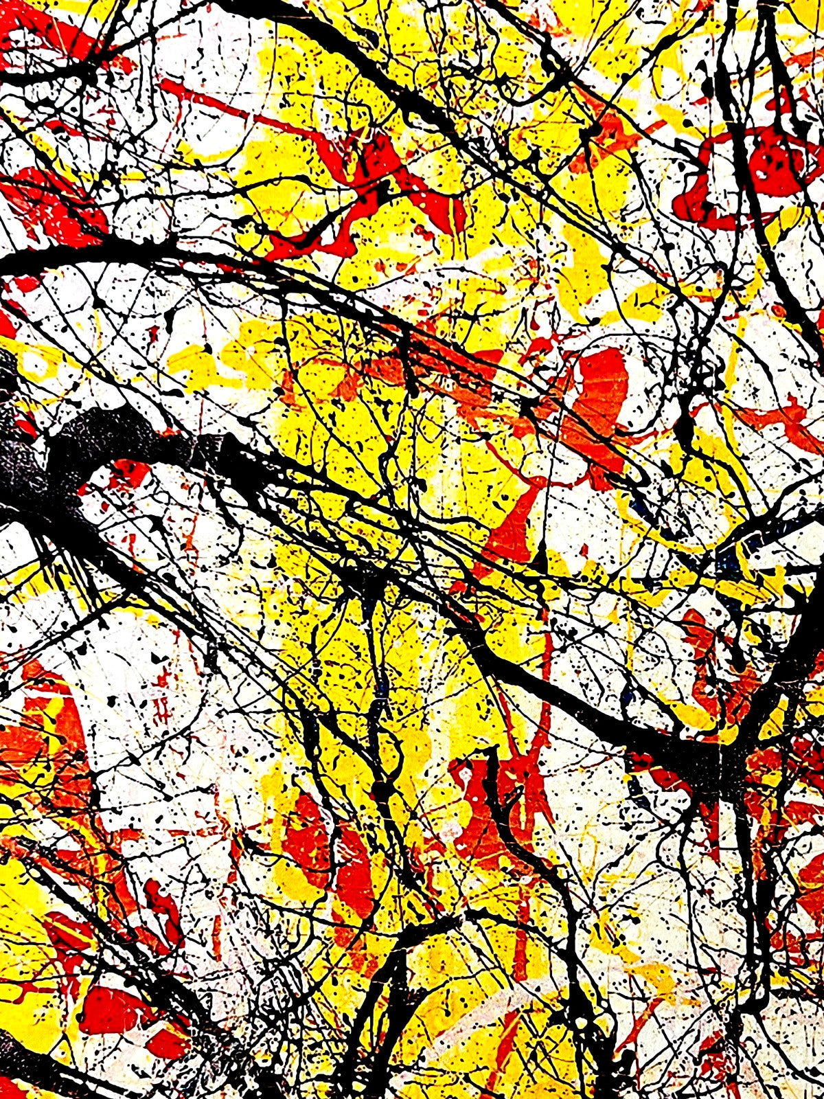 Jackson Pollock Action Painting Coa Signed Numbered In Pencil Limited Edition