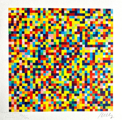 Ellsworth Kelly Lithograph Coa Signed Op Numbered