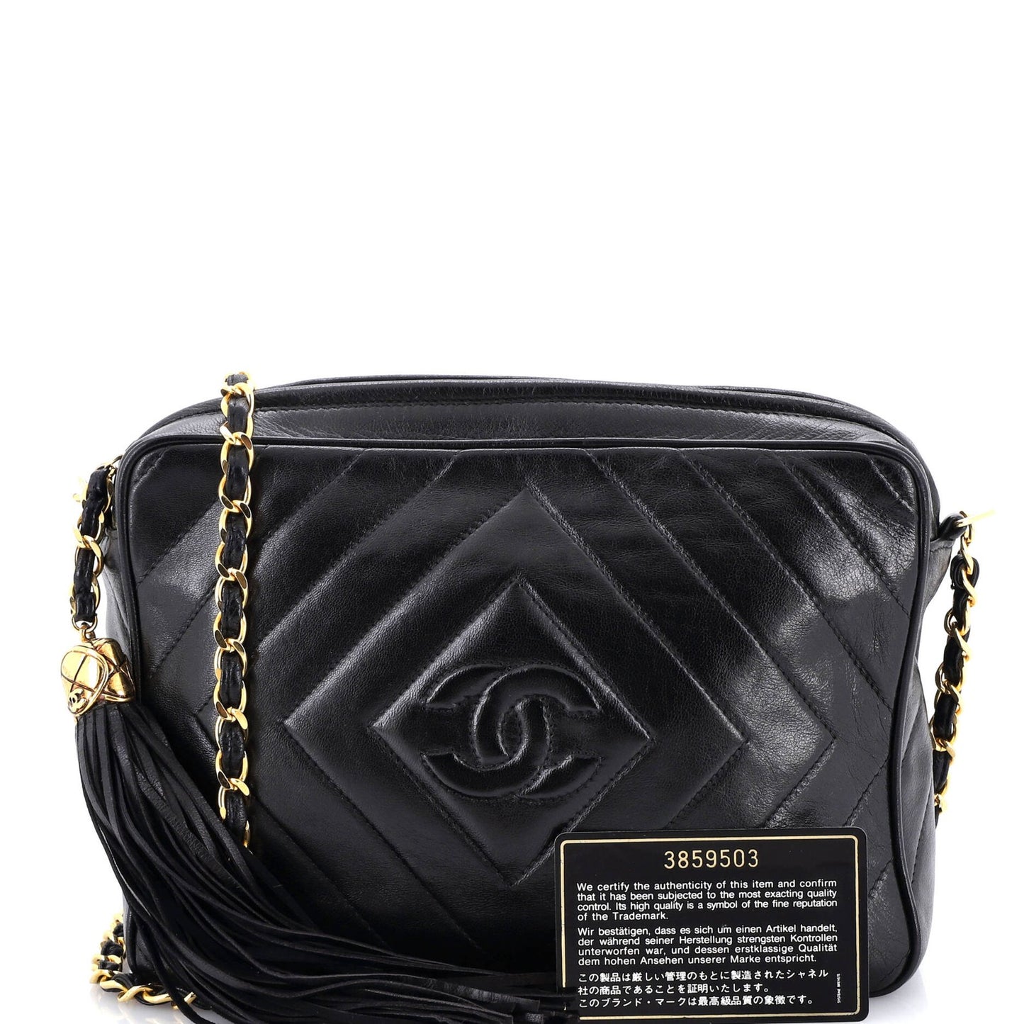 Chanel Vintage Diamond Cc Camera Bag Chevron Lambskin Medium