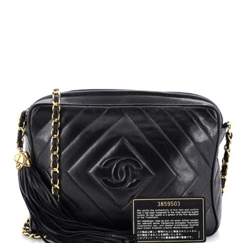 Chanel Vintage Diamond Cc Camera Bag Chevron Lambskin Medium