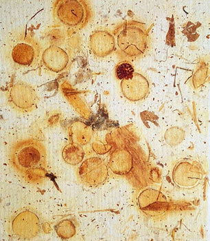 John Cage Lithograph Coa Signature And Stamp (Yoko Ono Bob Dylan)