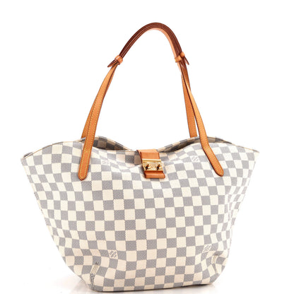 Louis Vuitton Salina Handbag Damier Gm