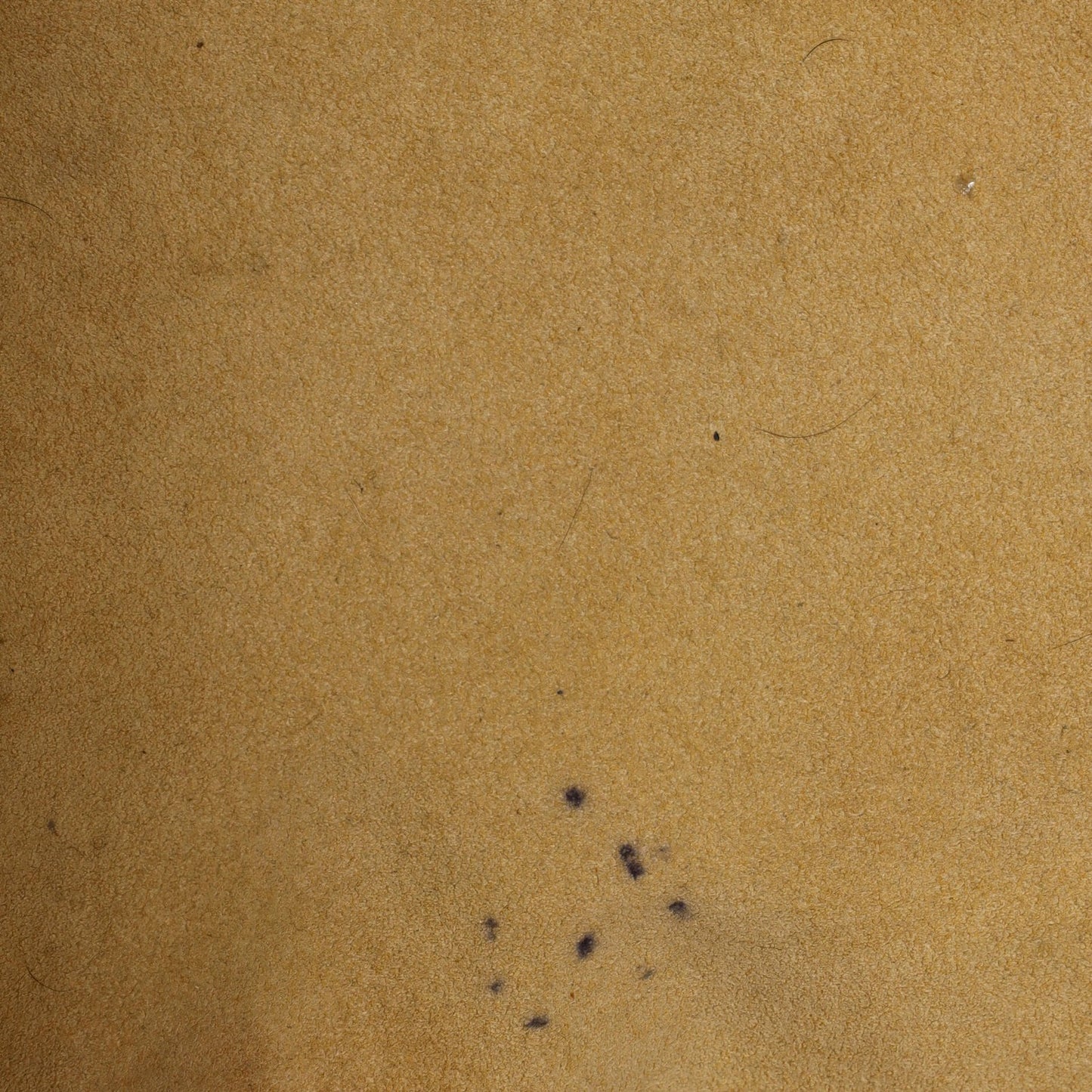 Louis Vuitton Galliera Handbag Monogram Canvas Pm